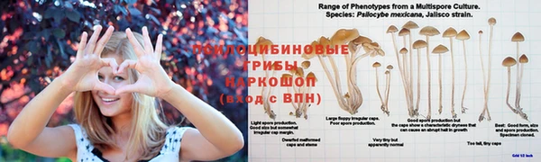 соль ск Арсеньев