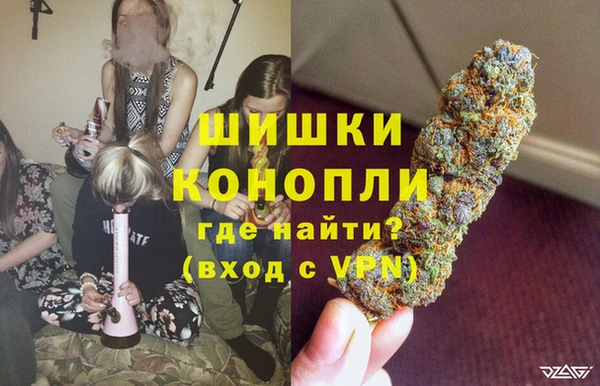 соль ск Арсеньев