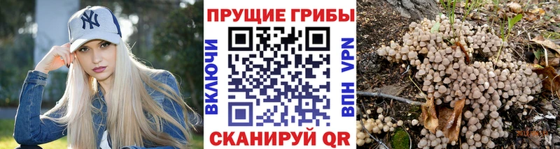 Галлюциногенные грибы Psilocybine cubensis  Купить где  Мариинский Посад 